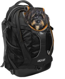  Kurgo Dog Carrier Backpack for Small Dogs & Cats