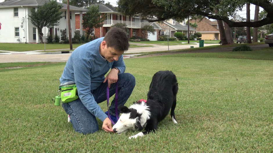 Leash Dog Training Lesson