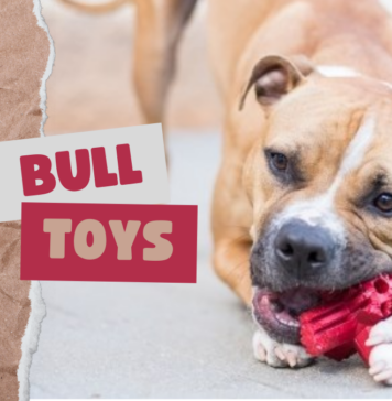 Pit Bull Toys