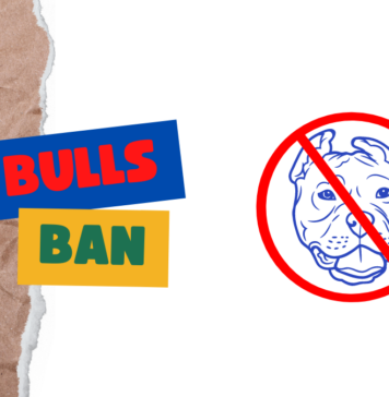 Pit Bulls Ban