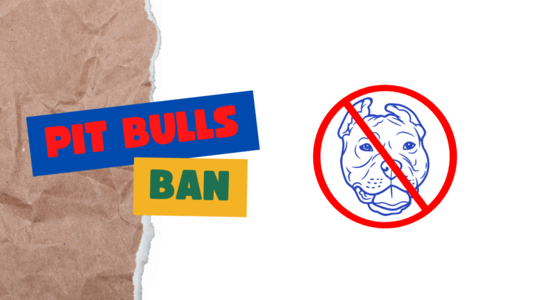 Pit Bulls Ban