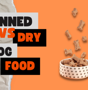 Pitbull Dog Food Type