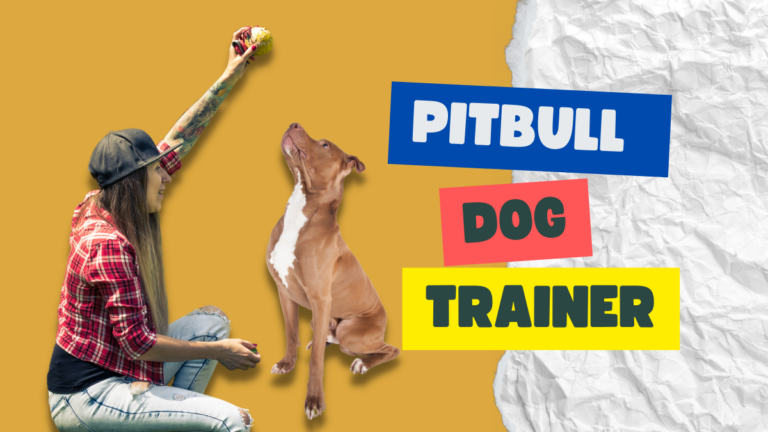 Pitbull Dog Trainer