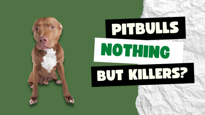 Pitbull Dogs, nothing but killers