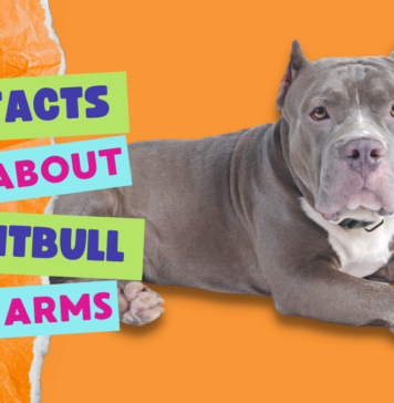 Pitbull Farms, know the facts