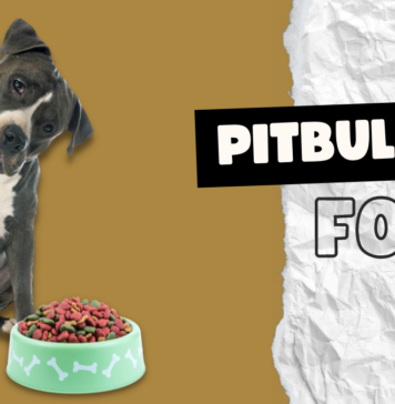Pitbull Food