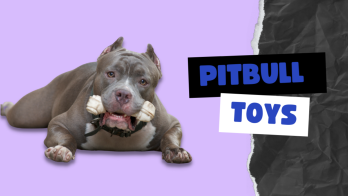 Pitbull Toys