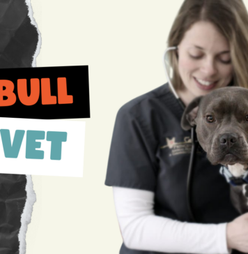 Pitbull Vet