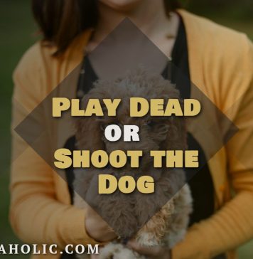 Play Dead or Shoot the Dog