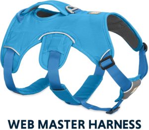 Ruffwear webmaster dog harness