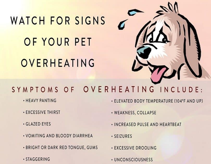 Signs of overheating