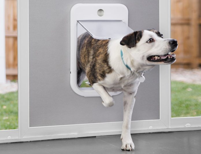 The Benefits of Using the Dog Door