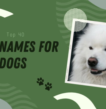 Weed Names for Dogs