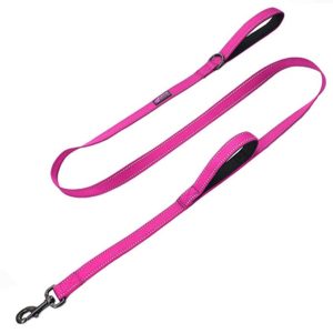 max Neo double traffic reflective dog leash for chewers