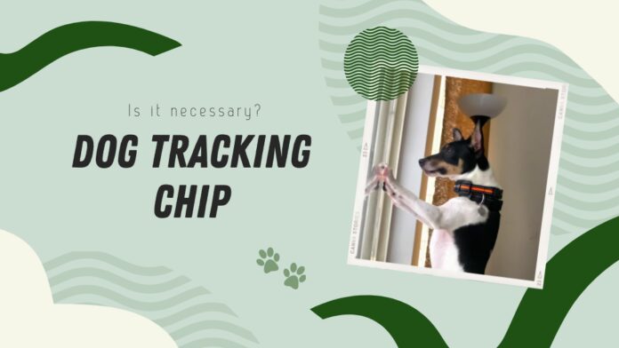 should you put Dog Tracking Chip
