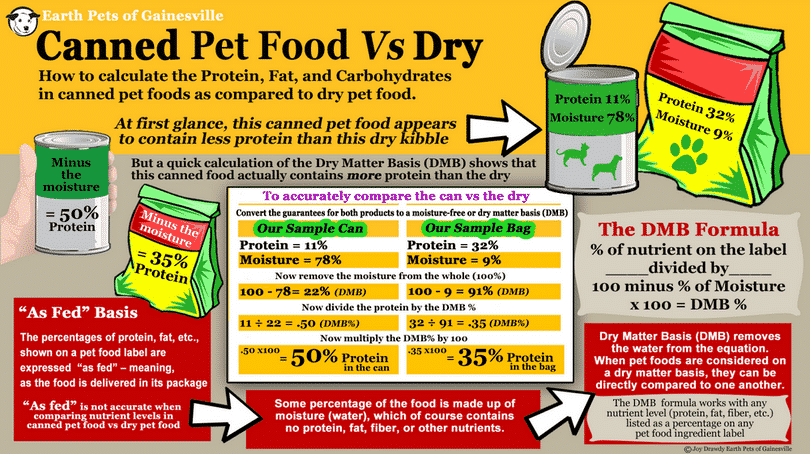 Canned vs dry food