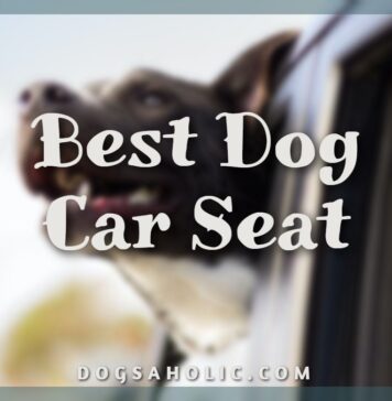 Best Dog Car Seat