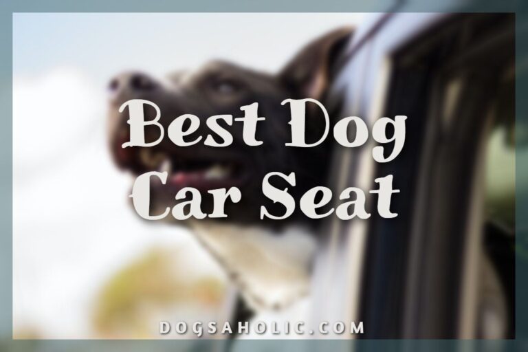 10 Best Dog Car Seat – Let Your Dog Travel with You, in Style