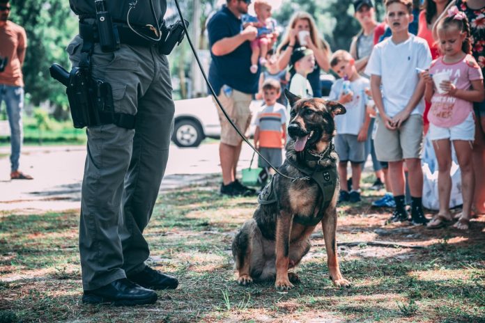 Best Police Dog Names