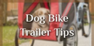 Dog Bike Trailer Tips