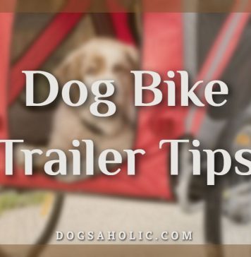 Dog Bike Trailer Tips