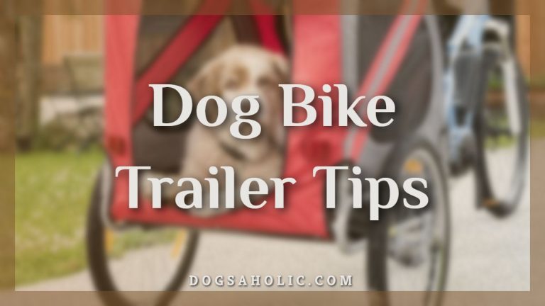 Dog Bike Trailer Tips