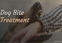 Dog Bite Treatment