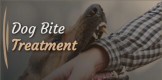 Dog Bite Treatment