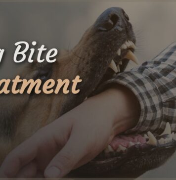 Dog Bite Treatment