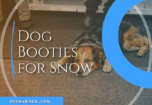 Dog Booties for Snow