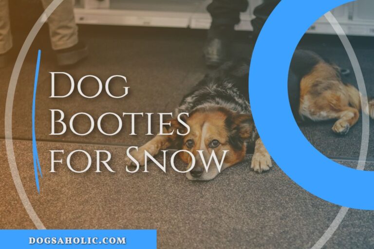 Dog Booties for Snow