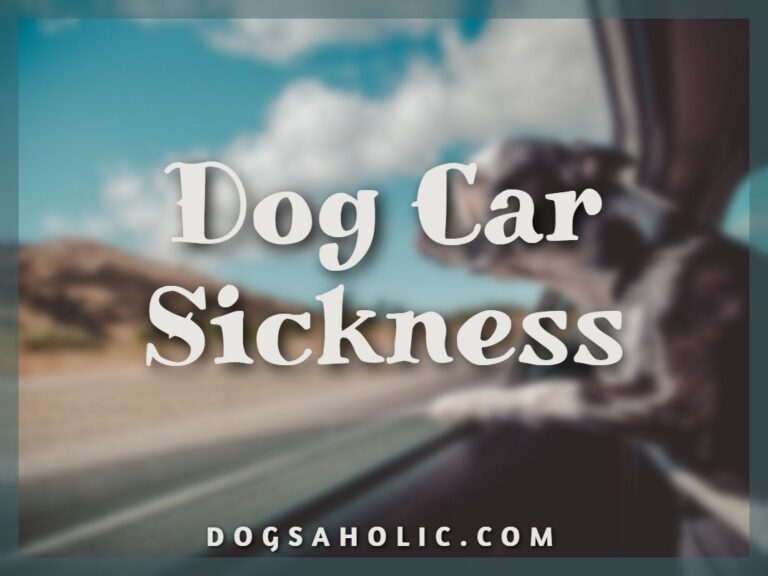 Dog Car Sickness – Symptoms And Prevention Methods for Your Pooch