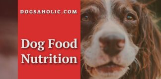 Dog Food Nutrition
