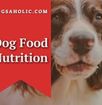 Dog Food Nutrition