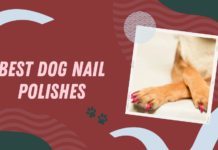 Dog Nail Polishes