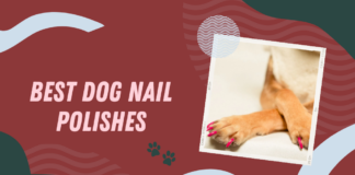 Dog Nail Polishes