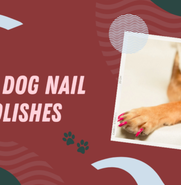 Dog Nail Polishes