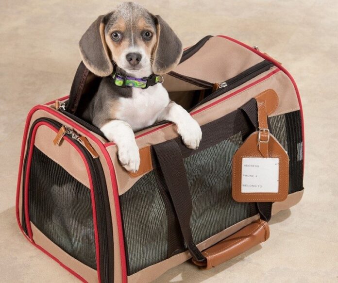 Dog bag for traveling