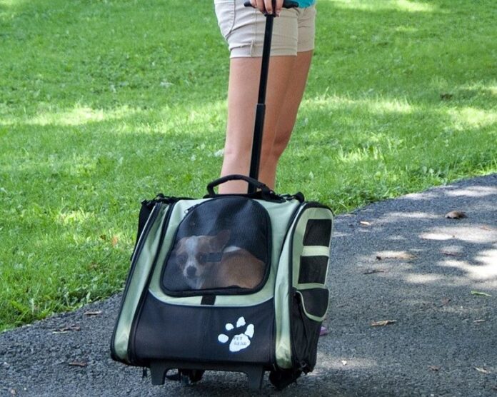 Dog bag with wheels