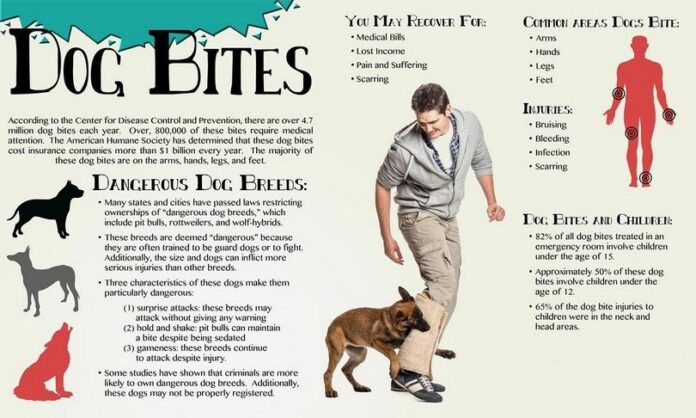 Dog bites infogrpahic