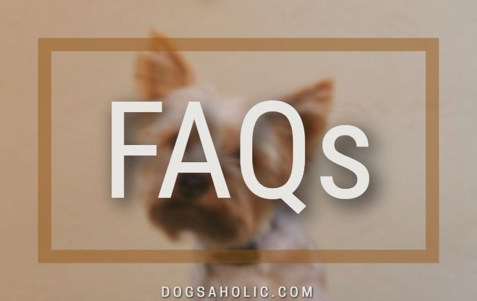 FAQ Best Nutritional Dog Food for Picky Yorkie