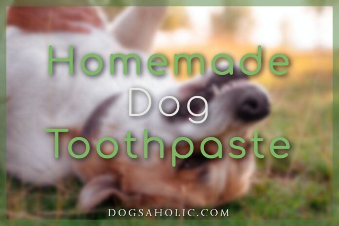 Homemade Dog Toothpaste