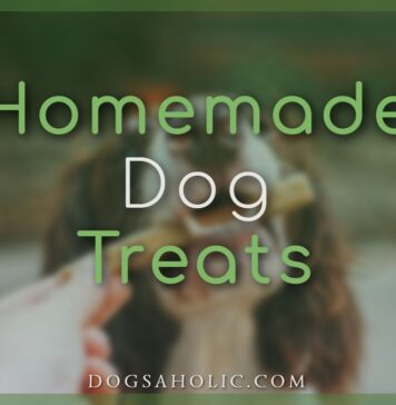 Homemade Dog Treats