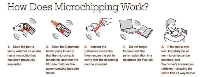 How does microchipping work