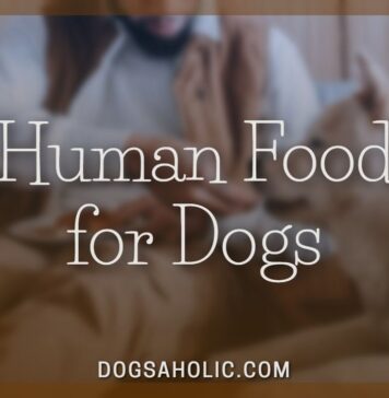 Human Food for Dogs
