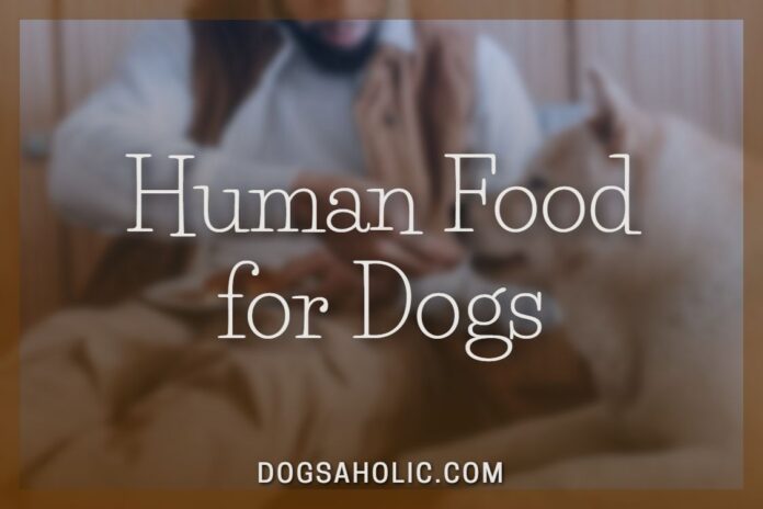 Human Food for Dogs