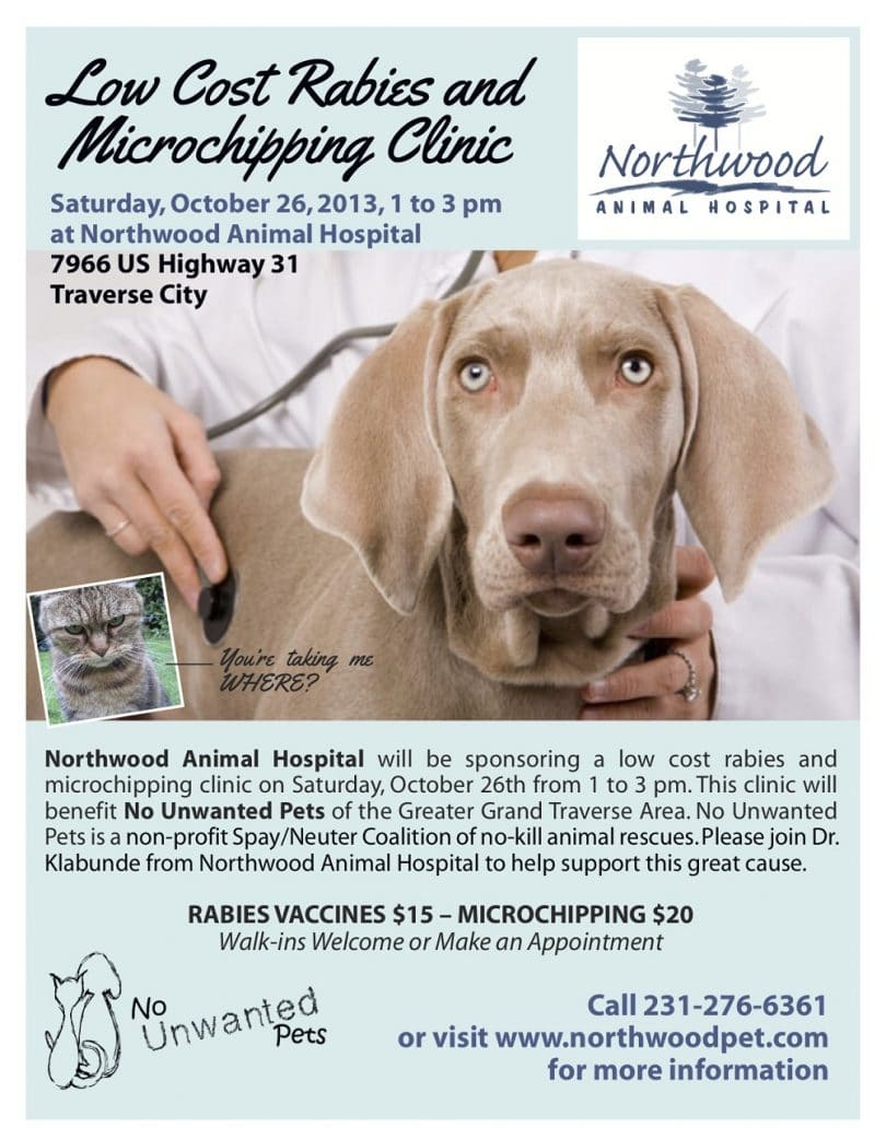 Low cost rabies and microchip-clinic