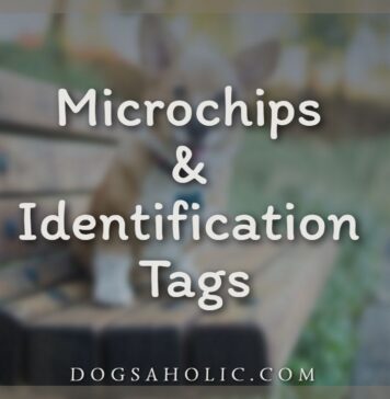 Microchips and Identification Tags