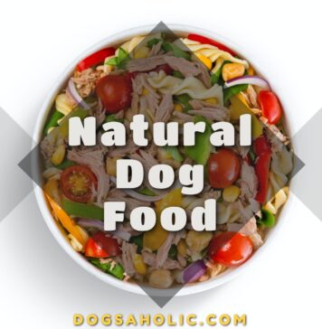 Natural Dog Food