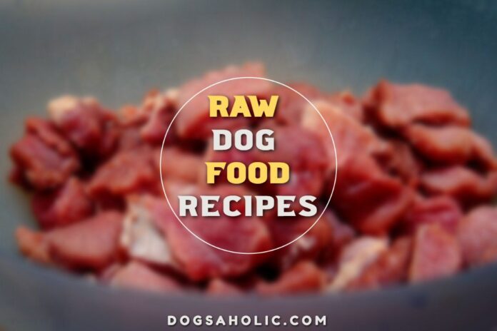 Raw Dog Food Recipes